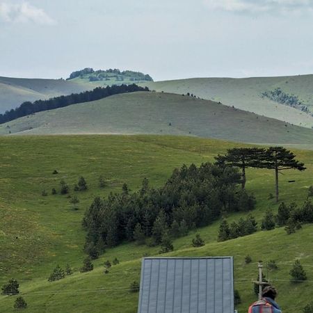 Huut Villa Zlatibor Kültér fotó