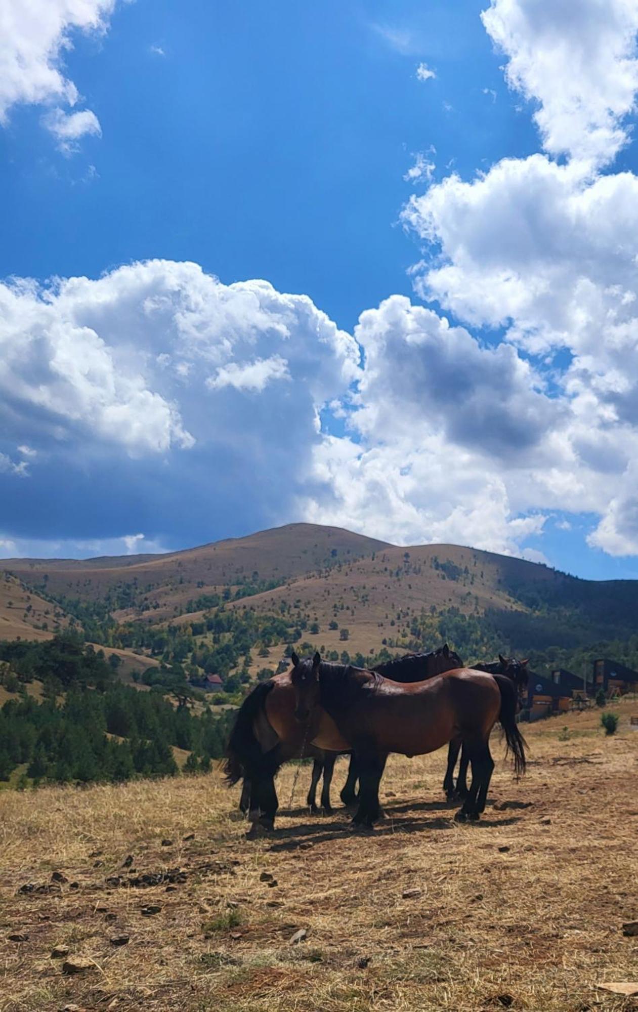 Huut Villa Zlatibor Kültér fotó
